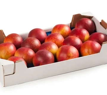 کارتن بسته بندی میوه