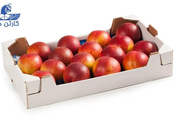 کارتن بسته بندی میوه