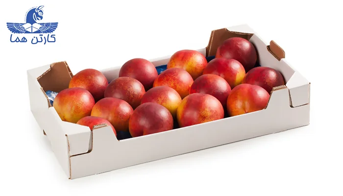 کارتن بسته بندی میوه