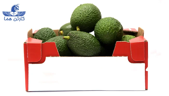 انواع کارتن میوه