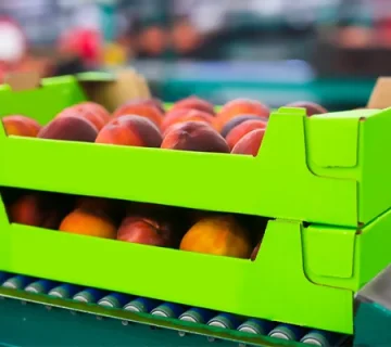 تولید کارتن میوه لمینتی