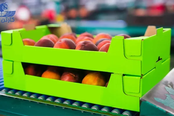 تولید کارتن میوه لمینتی