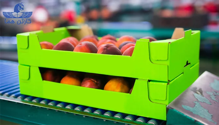 تولید کارتن میوه لمینتی