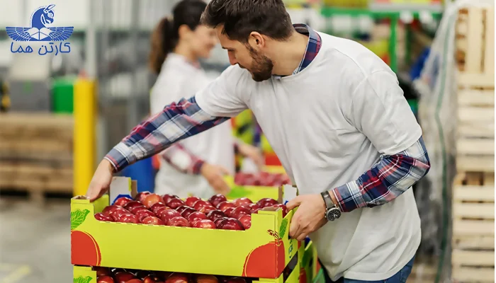 کارتن میوه لمینتی