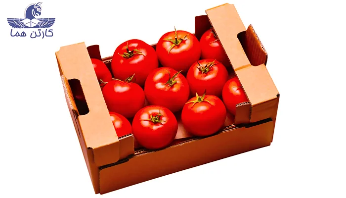 جعبه میوه سردخانه ای